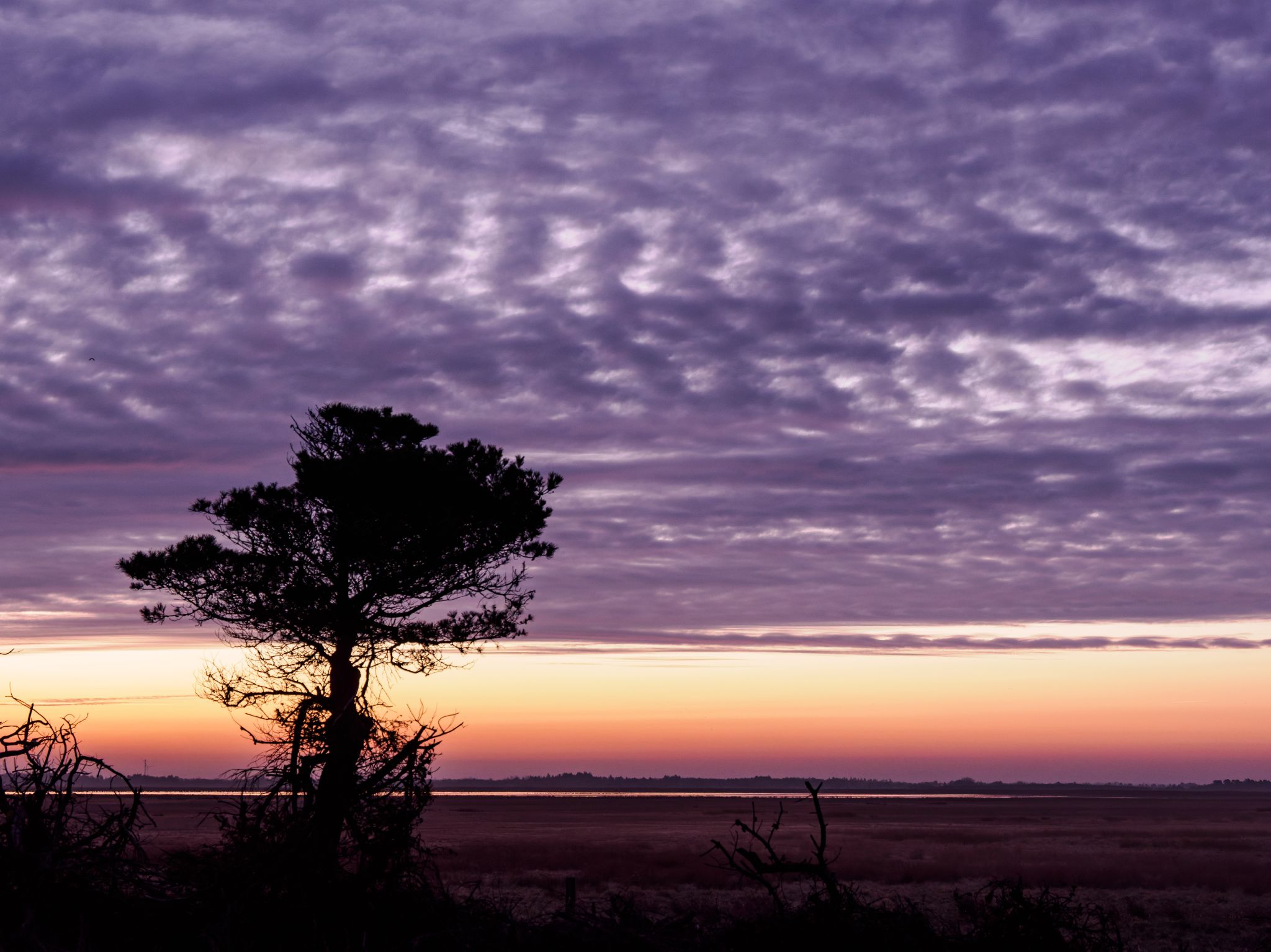 260321 0706 H  2HR0001 DxO DeepPRIME 3